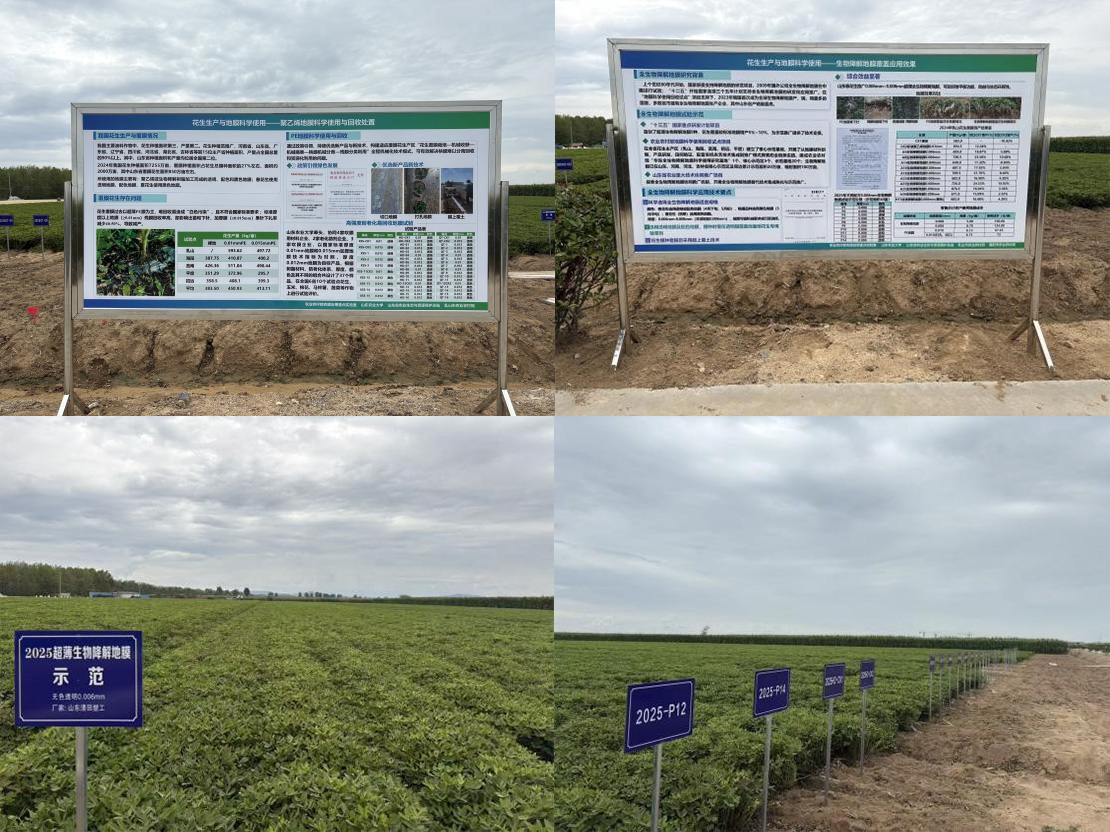 20251021095121_54455.jpg 43.jpg